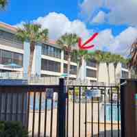 featured image of 1501 Beach Rd #403