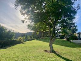 featured image of 2641 Condor Cir #2641