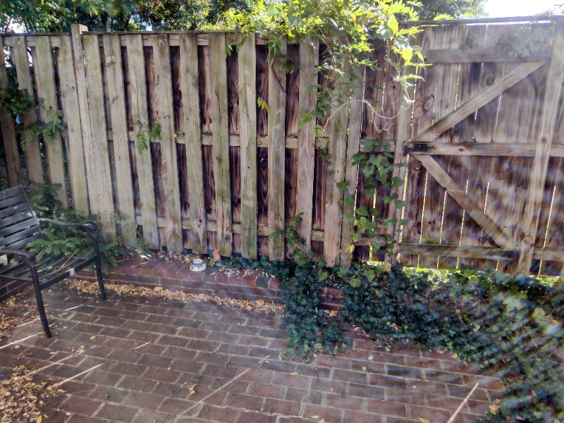 617 N Henry St #1 - Photo 4 of 13