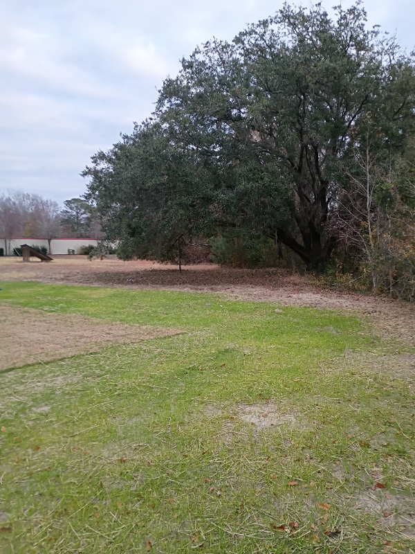 121 Rose Lake Dr - Photo 6 of 7