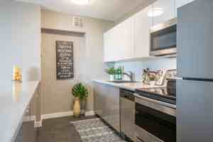 featured image of 41 Cowie Hill Rd