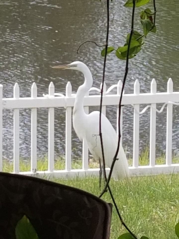 237 N Hidden Tree Dr #NA - Photo 4 of 16