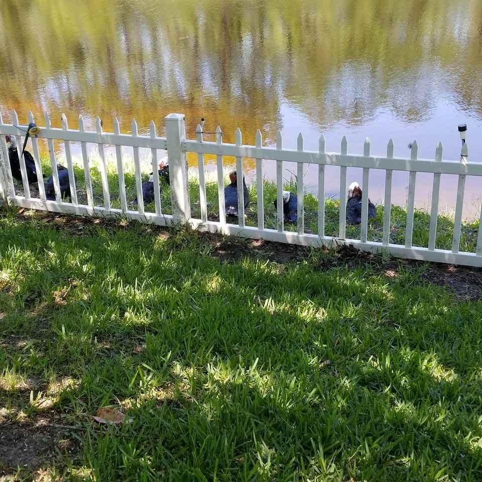 237 N Hidden Tree Dr #NA - Photo 5 of 16