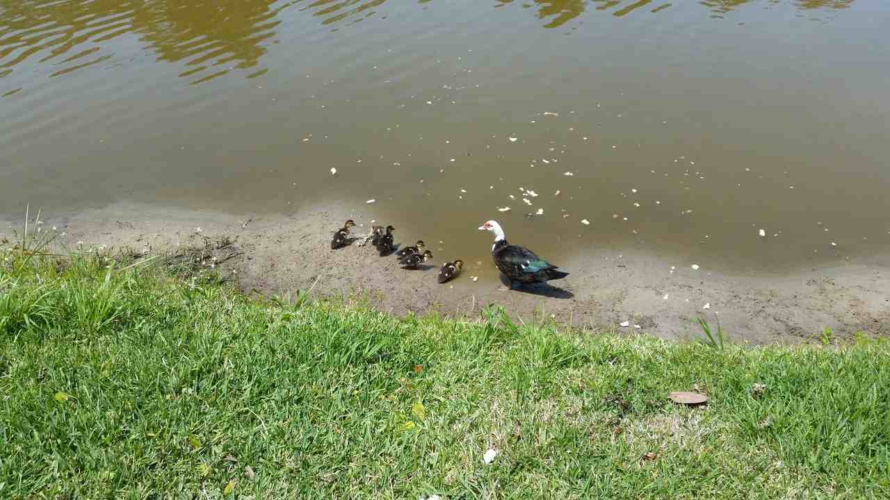 237 N Hidden Tree Dr #NA - Photo 6 of 16