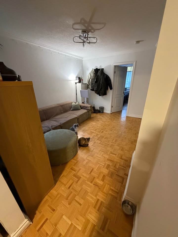 Ossington Ave & Dundas St W - Photo 5 of 12