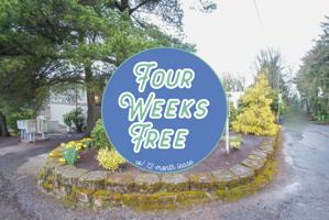 featured image of 3115 Sw 12th Ave #312