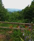 1299 Too Sweet Rd - Photo 1 of 1