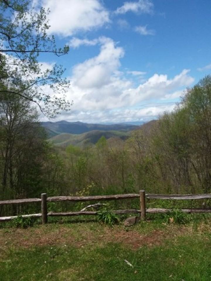 1299 Too Sweet Rd - Photo 2 of 27