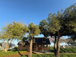 featured image of 10592 Avenue 360