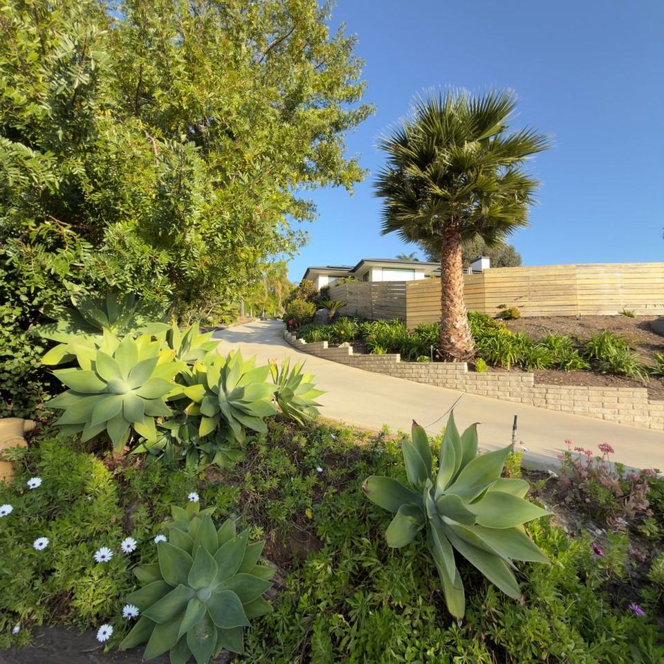 1685 Burgundy Rd - Photo 2 of 28