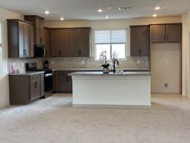 1505 Little Penguin St - Photo 1 of 1