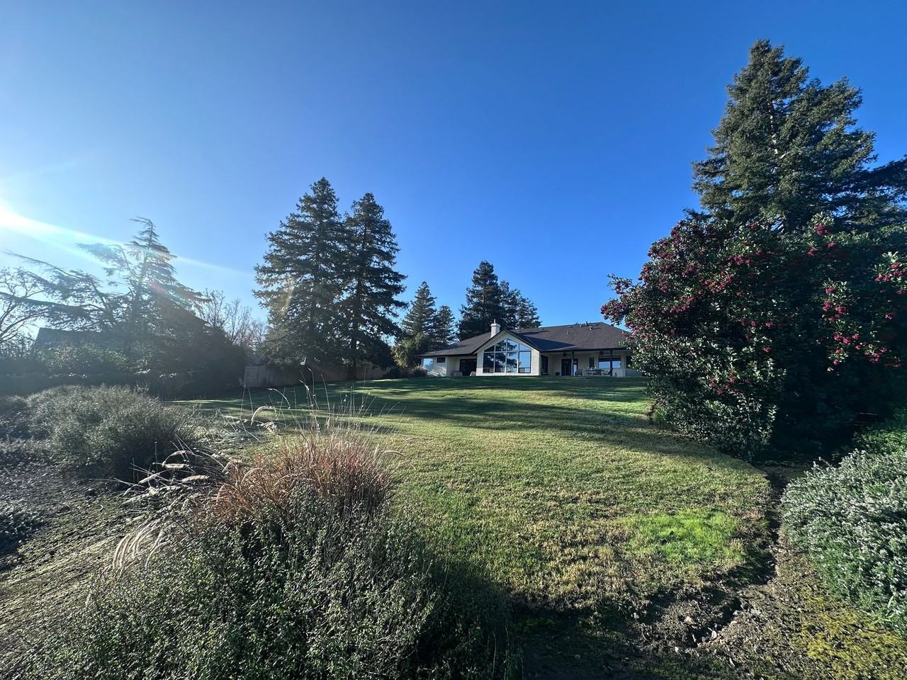 531 High Sierra Dr - Photo 6 of 29