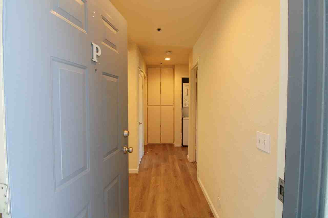 1029 Southwood Dr Apt P - Photo 3 of 21