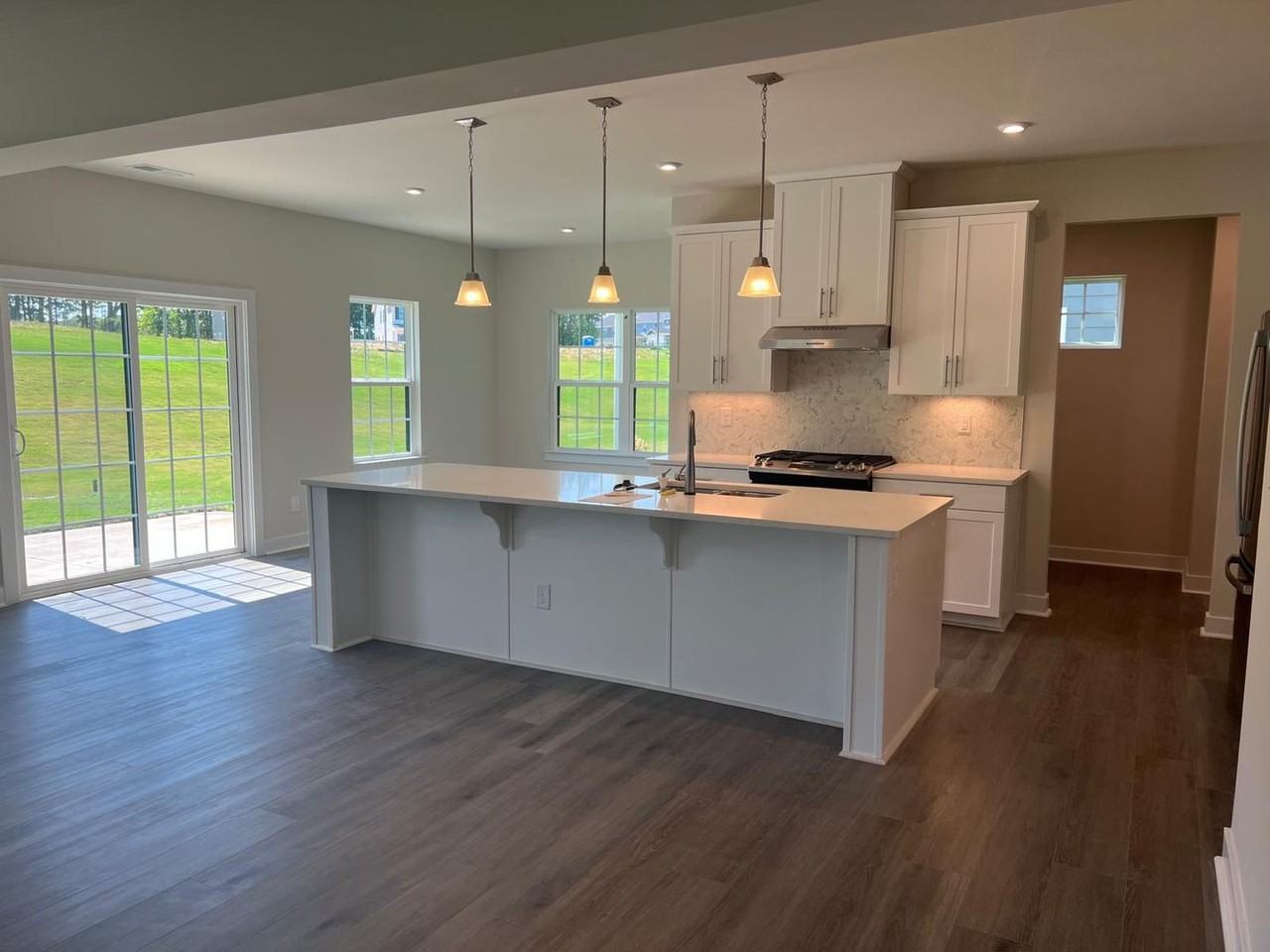 1724 Dennis Austin Ln - Photo 4 of 22