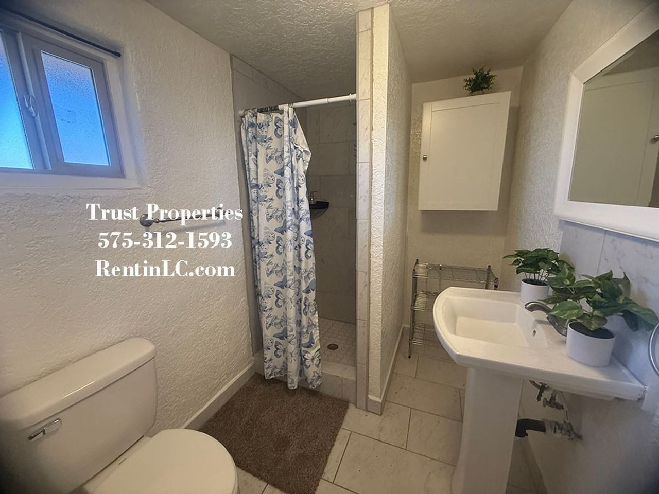 4250 Peralta Pl - Photo 7 of 9