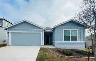 featured image of 122 Moscovy Duck