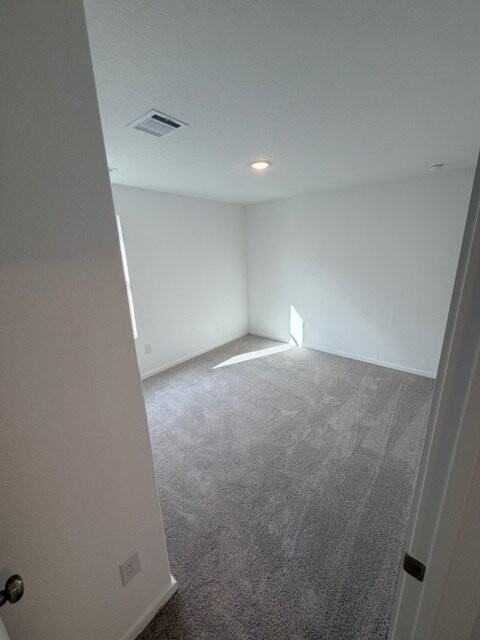 2831 Red Diamond - Photo 6 of 15