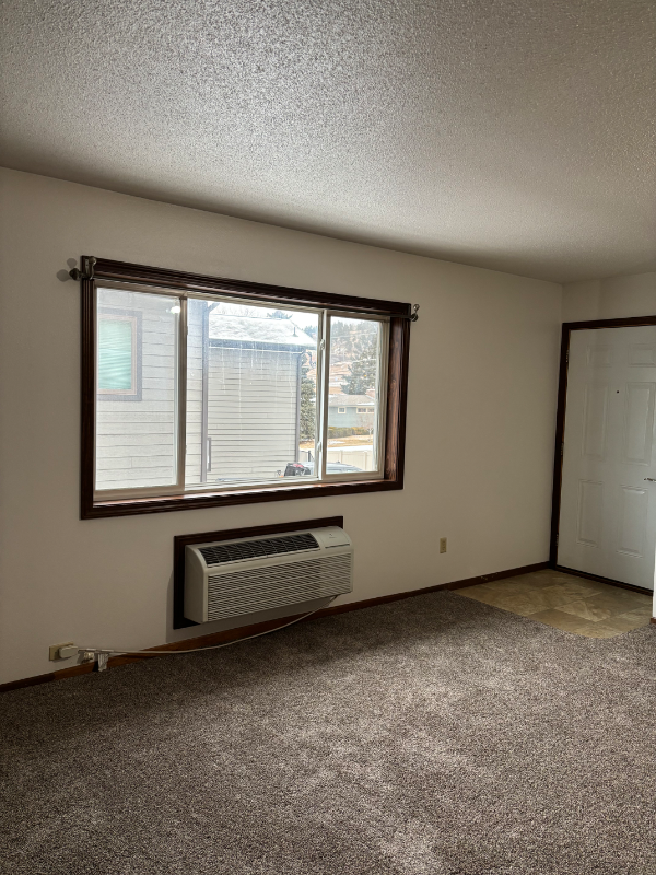 640 E Hudson St #205 - Photo 4 of 19