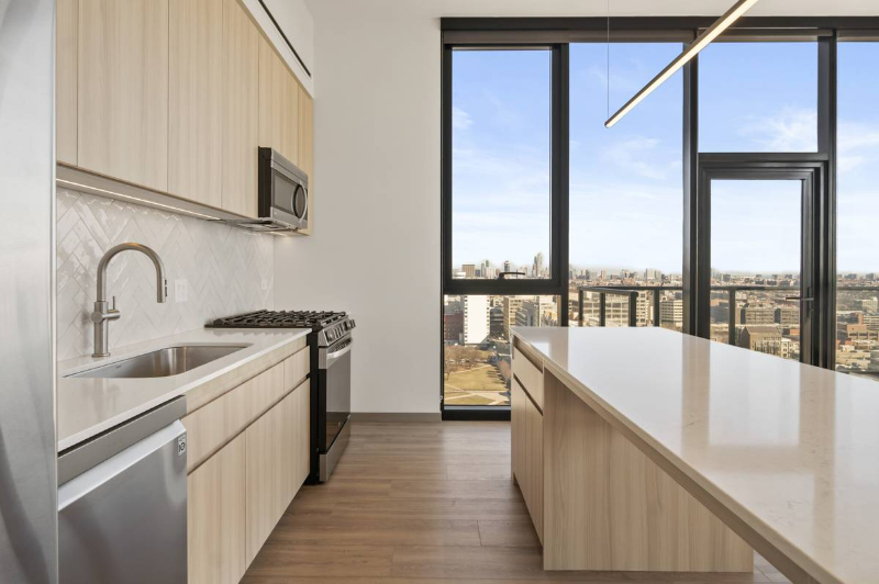 537 S Damen Ave - Photo 3 of 16