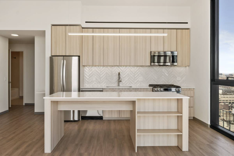 537 S Damen Ave - Photo 4 of 16