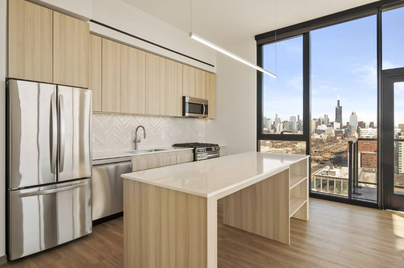 537 S Damen Ave - Photo 5 of 16