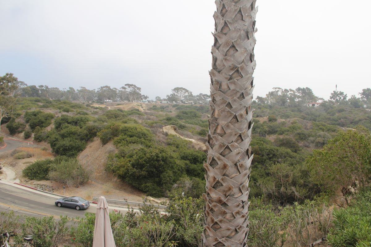 227 Avenida Lobeiro - Photo 5 of 9