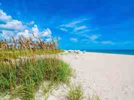 featured image of 101 E Park Shores Cir #101-2