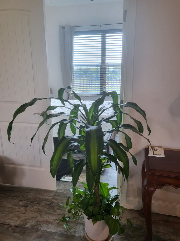 6580 N Ocean Shore Blvd #NA - Photo 3 of 8