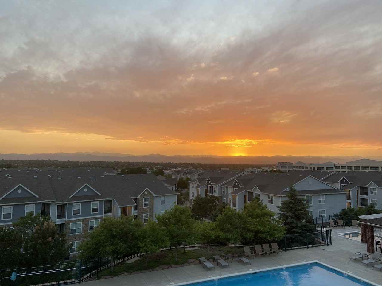 10184 Park Meadows Dr #1320 - Photo 2 of 16