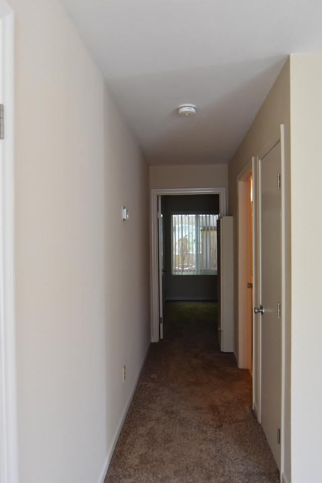 253 Tamarack Avenue255-C #255C - Photo 7 of 21