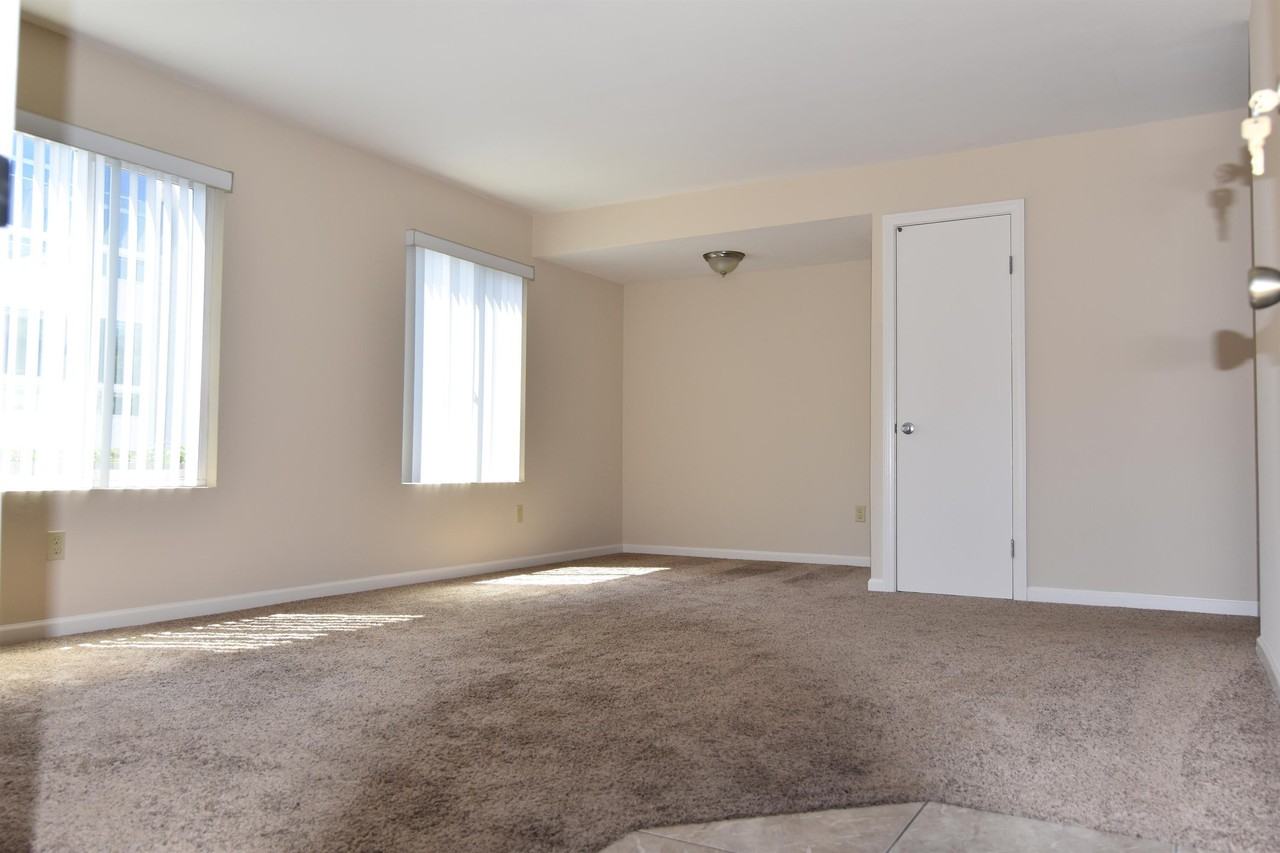 255-253 Tamarack Avenue - Photo 2 of 21