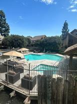 49 Tangelo #303 - Photo 1 of 1