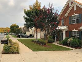 featured image of 2007 Arbor Vista Dr