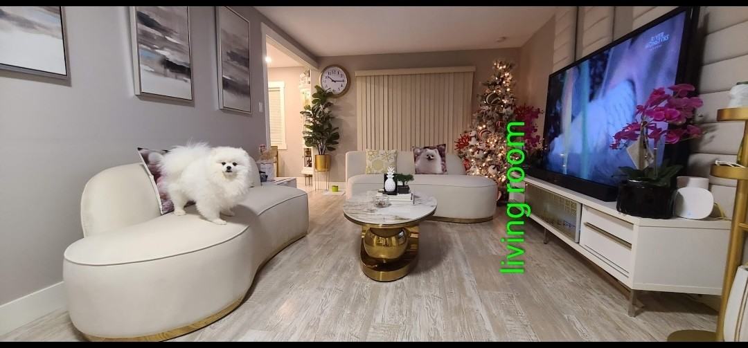 14123 104 Avenue #64 - Photo 4 of 12