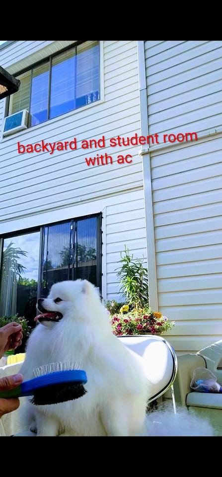 14123 104 Avenue #64 - Photo 5 of 12