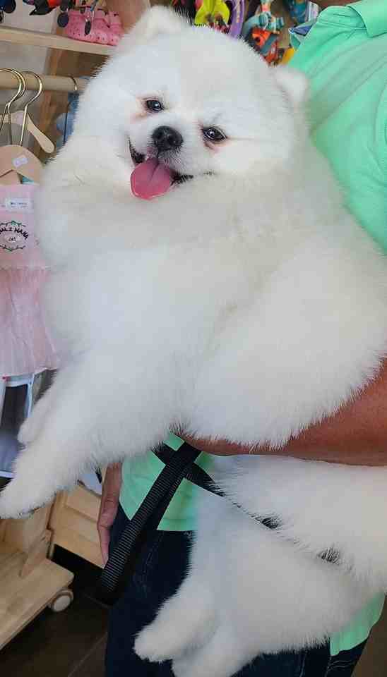 14123 104 Avenue #64 - Photo 2 of 12