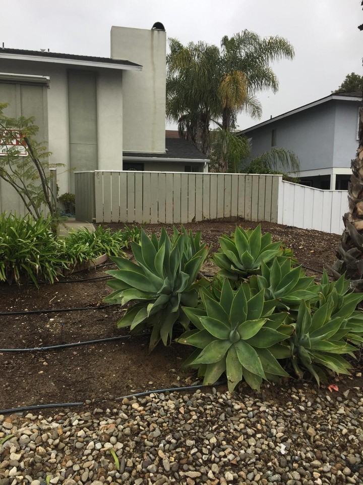 Davenport Rd #B - Photo 6 of 18