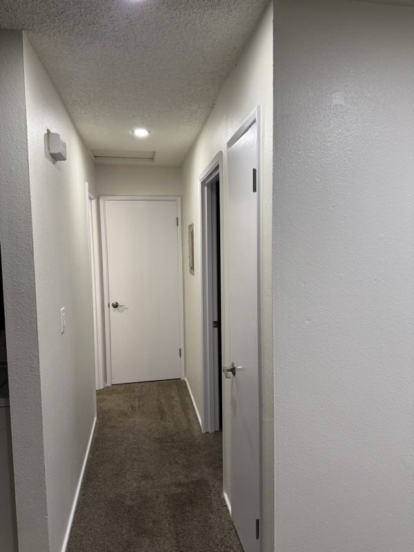 10401 66th Ave E #5 - Photo 2 of 11