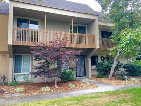 3031 Flora Vis - Photo 1 of 1