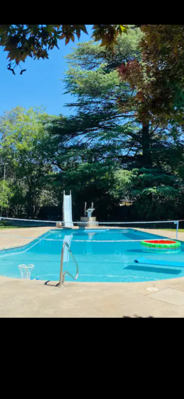 914 Arbutus Ave - Photo 6 of 14