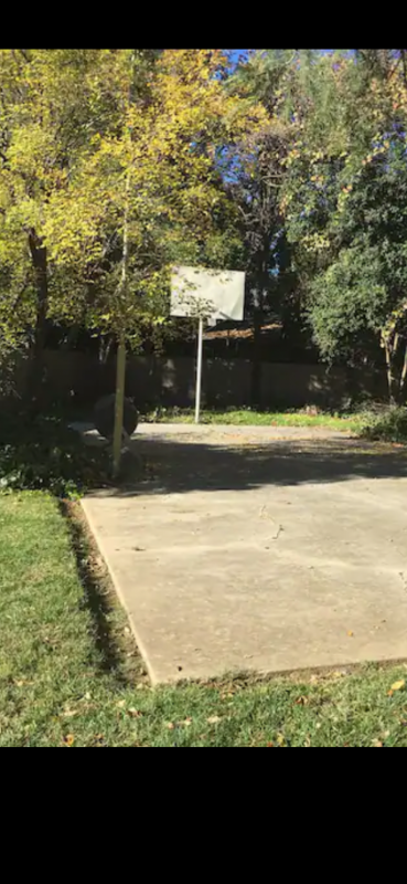 914 Arbutus Ave - Photo 7 of 14