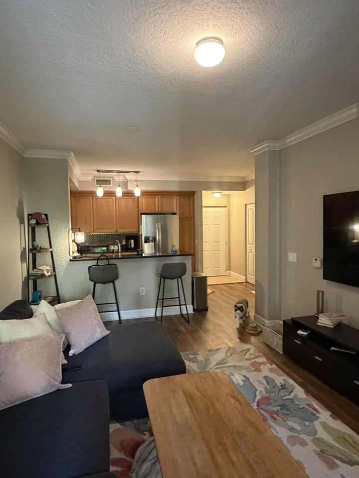 4202 Renaissance Way #202 - Photo 3 of 9