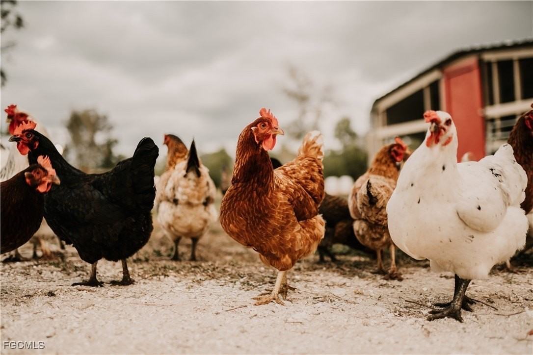 19740 Gottarde Rd - Photo 6 of 12