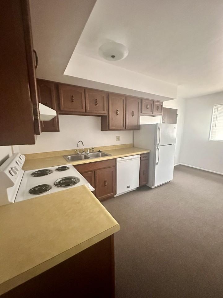 1124 Camellia Dr Apt 3 #3 - Photo 5 of 8