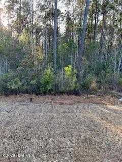 462 Ladyfish Loop Nw Lot 60 - Photo 3 of 13