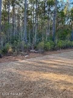 462 Ladyfish Loop Nw Lot 60 - Photo 4 of 13