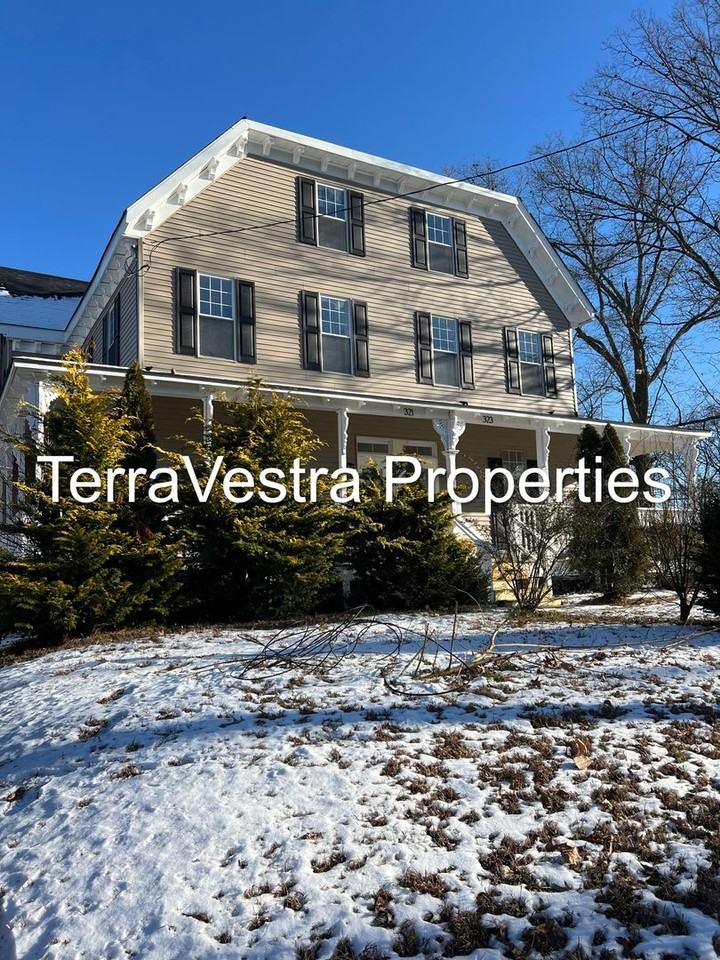 321-323 Atlantic Street - Photo 3 of 50