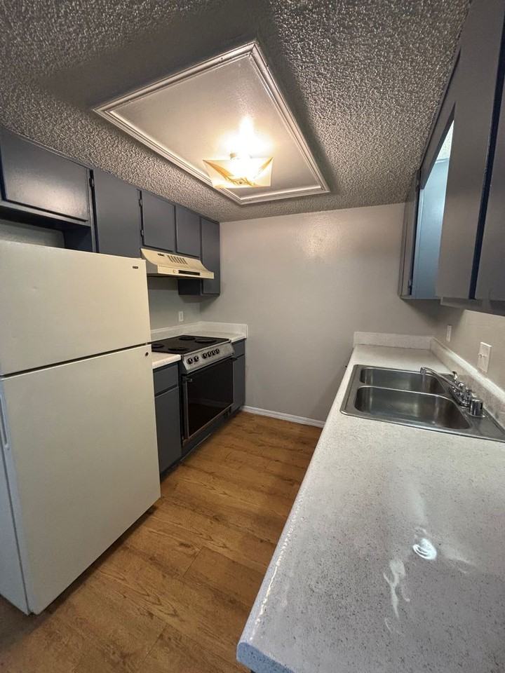 COLEMAN COURTYARD - Photo 2 of 14