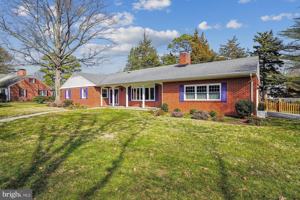 featured image of 532 Trippe Ave