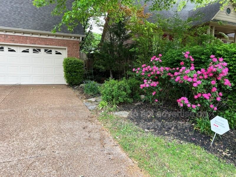 1752 Meadow River Cv - Photo 5 of 33